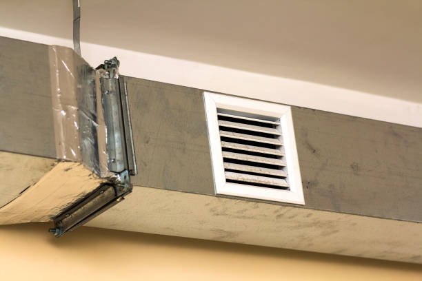 Best Air Duct Mold Removal  in High Bridge, WA